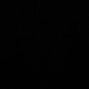 Meet your Posher, Noah